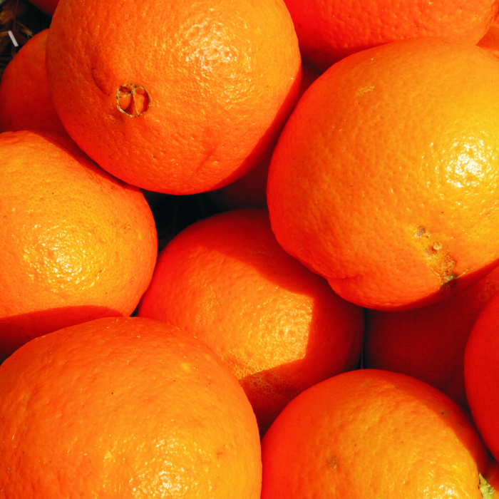 Taronja taula -Tarragona-