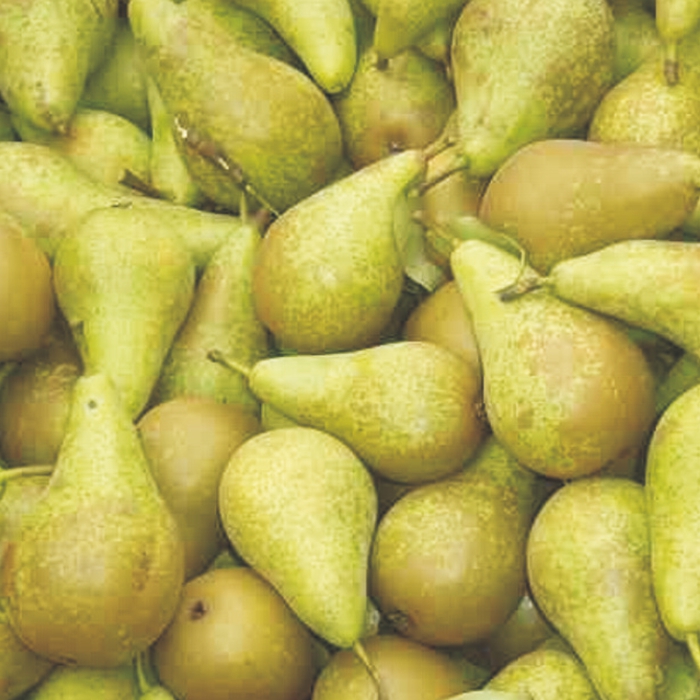 Pera CONFERENCE -Lleida-