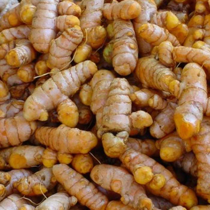 Cúrcuma 200g -Perú-