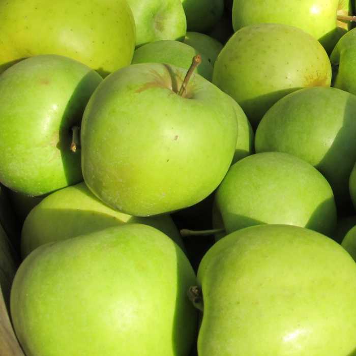 Poma GRANNY SMITH -Lleida-