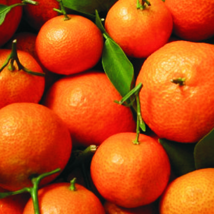 Mandarina -Tarragona-